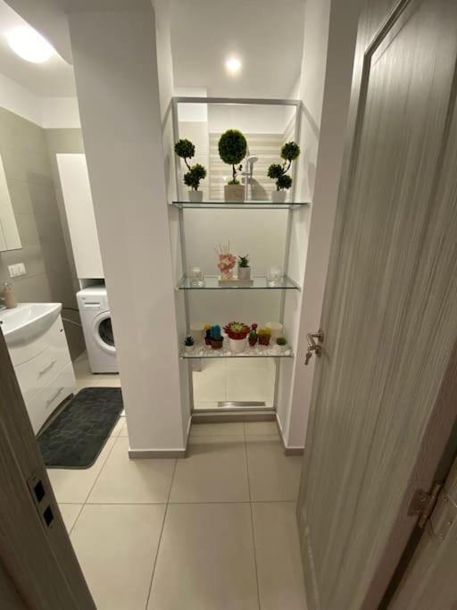 Cozy Central Apartment With 2 Rooms Bucareste Exterior foto